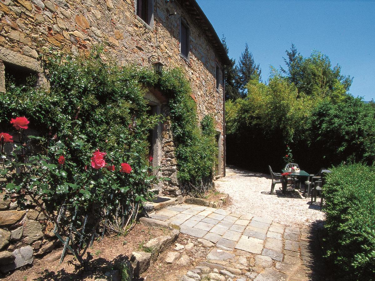 佩夏Fattoria Di Pietrabuona公寓 外观 照片